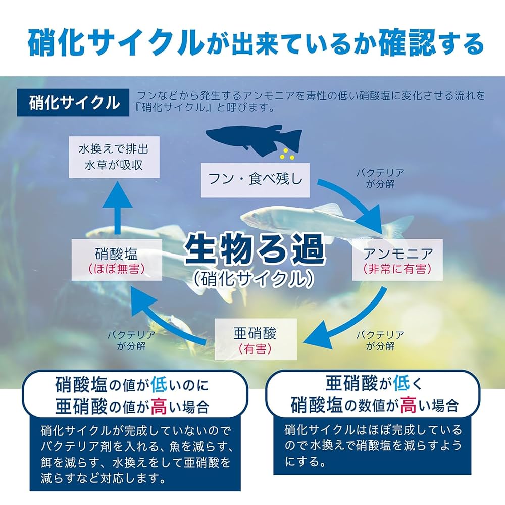 Amazon.co.jp: ［ENJOY AQUA］ アクアリウム 6in1 水質検査紙